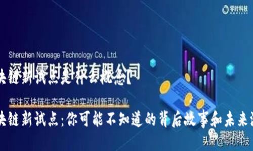 区块链新试点是什么概念？

区块链新试点：你可能不知道的背后故事和未来潜力