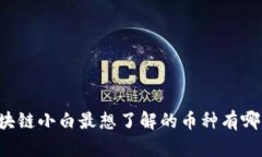 区块链小白最想了解的币种有哪些？