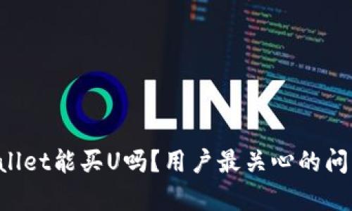 TP Wallet能买U吗？用户最关心的问题解析