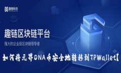 如何将元界DNA币安全地转移到TPWallet？