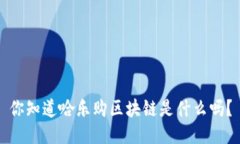 你知道哈乐购区块链是什么吗？