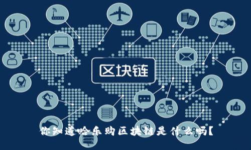 你知道哈乐购区块链是什么吗？
