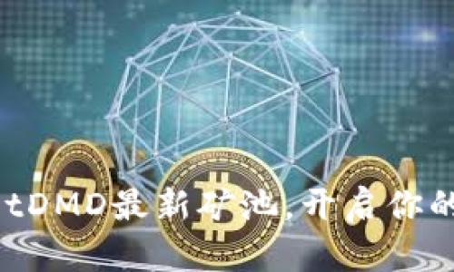 发现TPWalletDMD最新矿池，开启你的挖矿之旅吧！