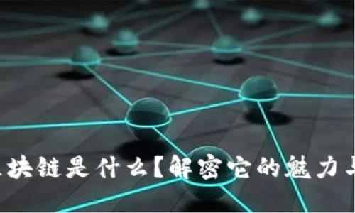 海思区块链是什么？解密它的魅力与潜力!