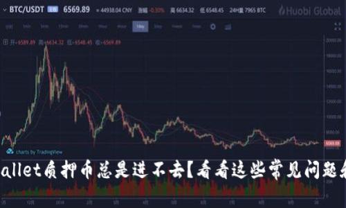 为什么TPWallet质押币总是进不去？看看这些常见问题和解决方法！