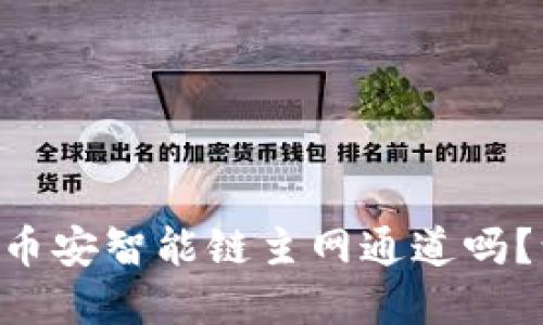 你知道TPWallet的币安智能链主网通道吗？让我们深入了解吧！