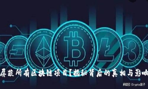 屏蔽所有区块链项目？揭秘背后的真相与影响