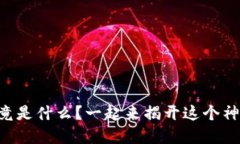 区块链执行官究竟是什么？一起来揭开这个神秘