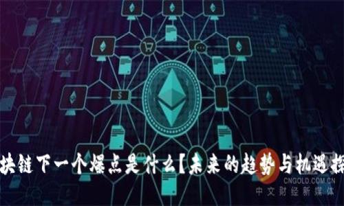 区块链下一个爆点是什么？未来的趋势与机遇探讨