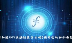 你知道EOV区块链是什么吗？揭开它的神秘面纱！