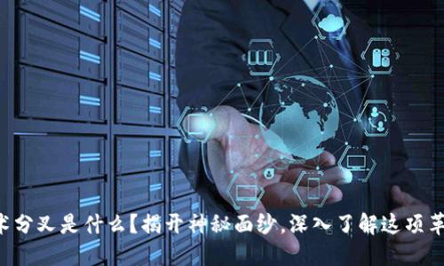 区块链技术分叉是什么？揭开神秘面纱，深入了解这项革新性技术！