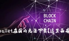 为什么tpwallet在国内无法下载？这里面有什么玄机