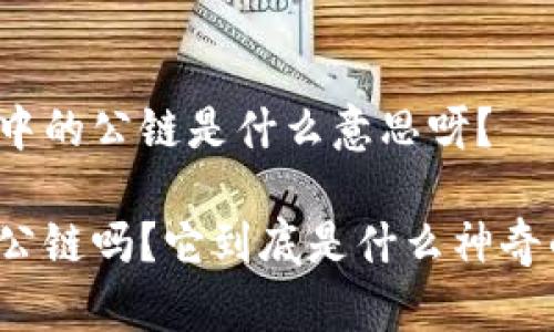 区块链中的公链是什么意思呀？

听说过公链吗？它到底是什么神奇的东西？