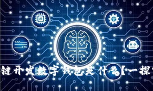 区块链开发数字钱包是什么？一探究竟！
