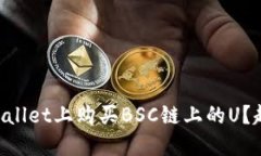 怎么在TPWallet上购买BSC链上的U？超详细指南！