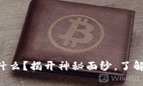 “区块链到底是什么？揭开神秘面纱，了解它的流行概念！”