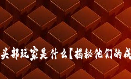 区块链头部玩家是什么？揭秘他们的成功之道