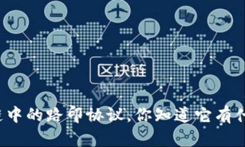 深入了解区块链中的路印协议，你知道它有什么特别之处吗？