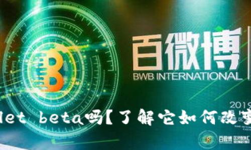 你听说过tpwallet beta吗？了解它如何改变数字资产管理！