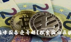 为什么区块链在中国备受青睐？探索国内区块链