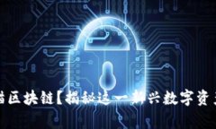 什么是太空猫区块链？揭秘这一新兴数字资产的