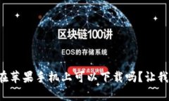 tpwallet在苹果手机上可以下载吗？让我们来看看！