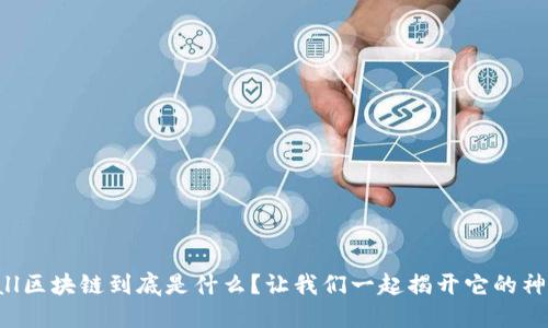 兔肯Mall区块链到底是什么？让我们一起揭开它的神秘面纱！