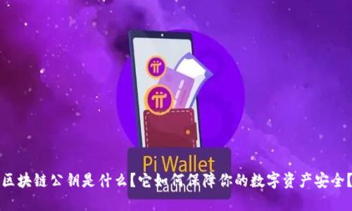 区块链公钥是什么？它如何保障你的数字资产安全？
