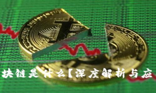 IBM区块链是什么？深度解析与应用实例