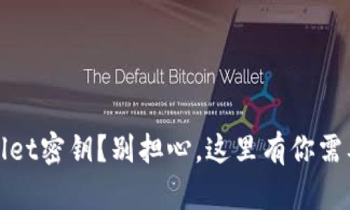 忘记了tpwallet密钥？别担心，这里有你需要的解决方案