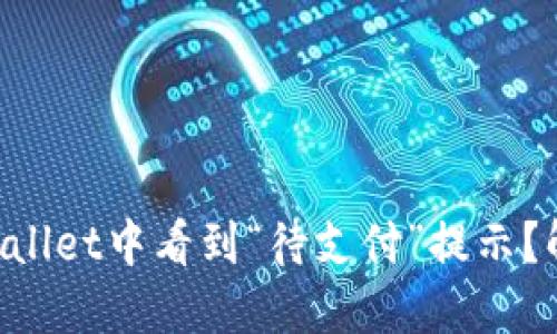 为什么在TPWallet中看到“待支付”提示？解决方法详解！
