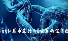 tpWallet私募币是什么？它真的值得投资吗？
