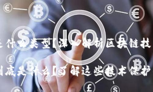 区块链安全专利是什么类型？深入解析区块链技术背后的安全创新

区块链安全专利到底是什么？了解这些技术保护的秘密！