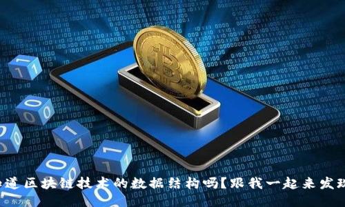 想知道区块链技术的数据结构吗？跟我一起来发现吧！