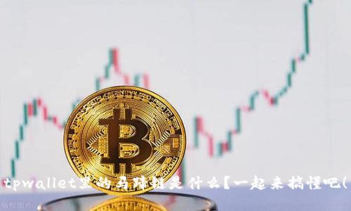 tpwallet里的马蹄链是什么？一起来搞懂吧！