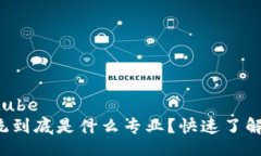 youtube/youtube  区块链技术系统到底是什么专业？快