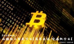 schema区块链工程是什么？简单来说，它在做什么