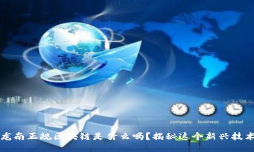 你知道龙南正规区块链是什么吗？揭秘这个新兴技术的魅力