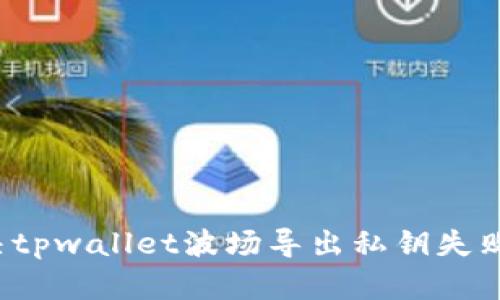 如何解决tpwallet波场导出私钥失败的问题？