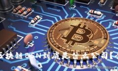 bianoti区块链BSN到底是什么公司？全面揭秘！