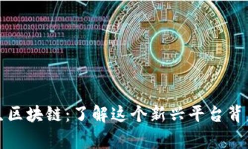 荒野求生区块链：了解这个新兴平台背后的故事