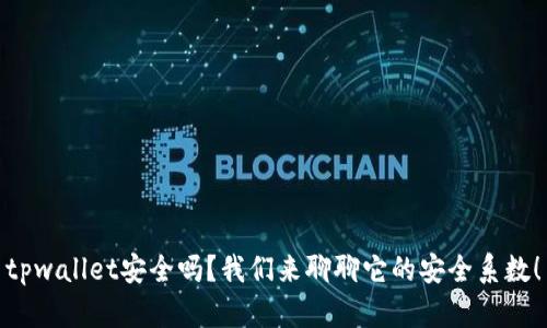tpwallet安全吗？我们来聊聊它的安全系数！