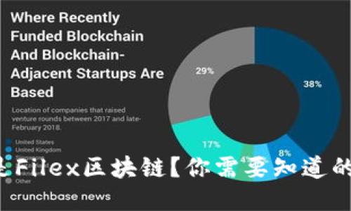 什么是Filex区块链？你需要知道的一切！