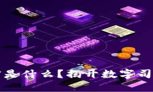 区块链的法官是什么？揭开数字司法的神秘面纱