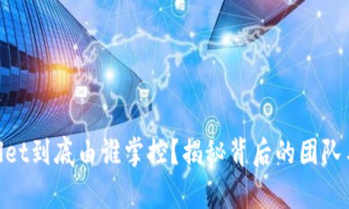 tpwallet到底由谁掌控？揭秘背后的团队与理念