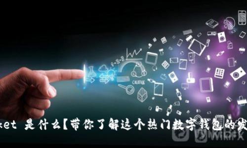 TokenPocket 是什么？带你了解这个热门数字钱包的发行与功能！