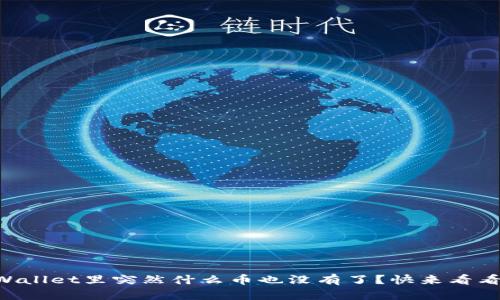 为什么我的TPWallet里突然什么币也没有了？快来看看这些解决办法！