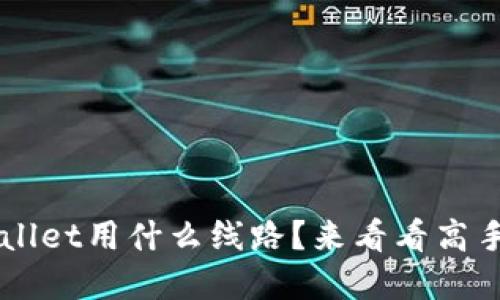  提币到TPWallet用什么线路？来看看高手们给的建议！