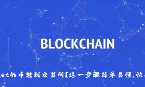 怎么将TPWallet的币转到交易所？这一步骤简单易懂，快来一起看看吧！