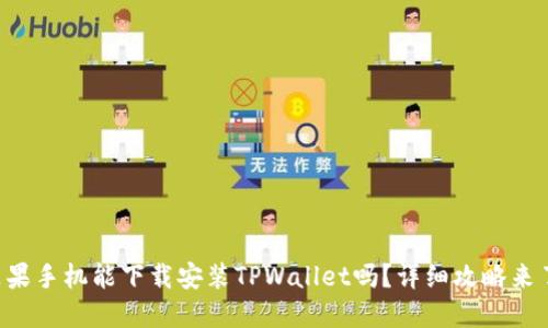 苹果手机能下载安装TPWallet吗？详细攻略来了！